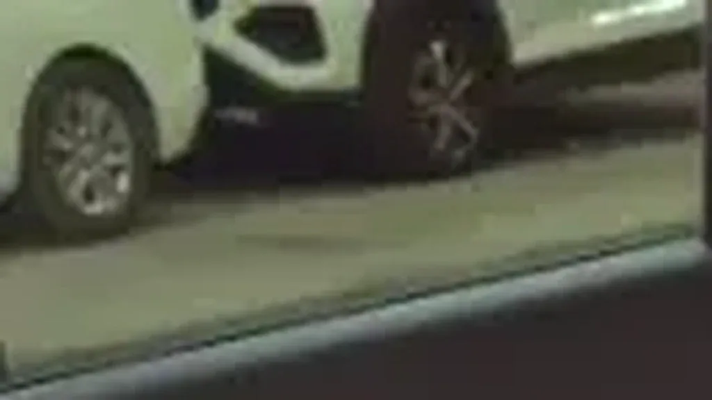 BYD Dolphin Mini - Imagem 9