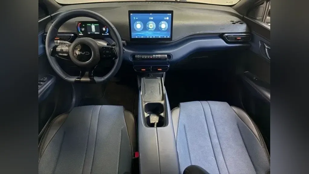 BYD Dolphin Mini - Imagem 15