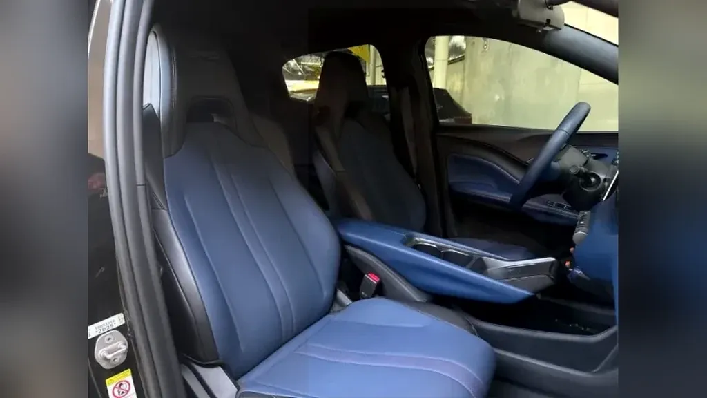 BYD Dolphin Mini - Imagem 20