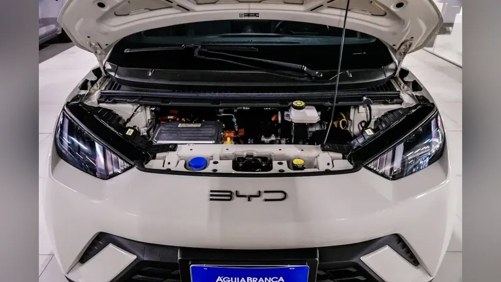 BYD Dolphin Mini - Imagem 6