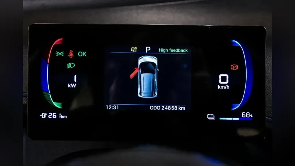 BYD Dolphin Mini - Imagem 12