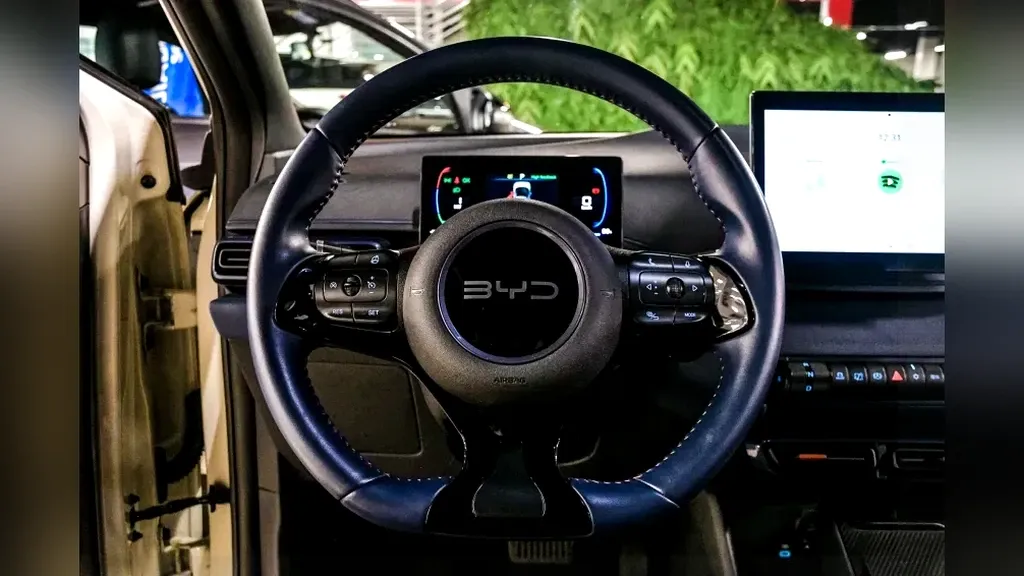 BYD Dolphin Mini - Imagem 15