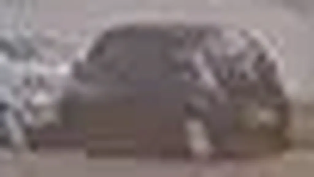 BYD Dolphin Plus - Imagem 10