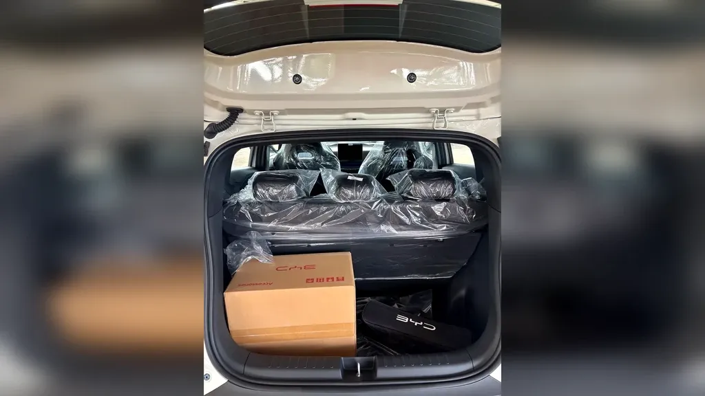 BYD Dolphin Mini - Imagem 9