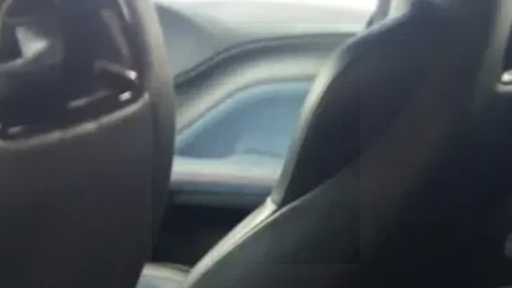 BYD Dolphin Mini - Imagem 12