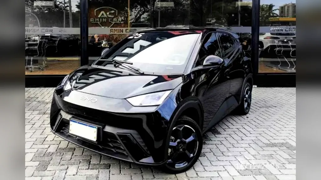 BYD Dolphin Mini - Imagem 2