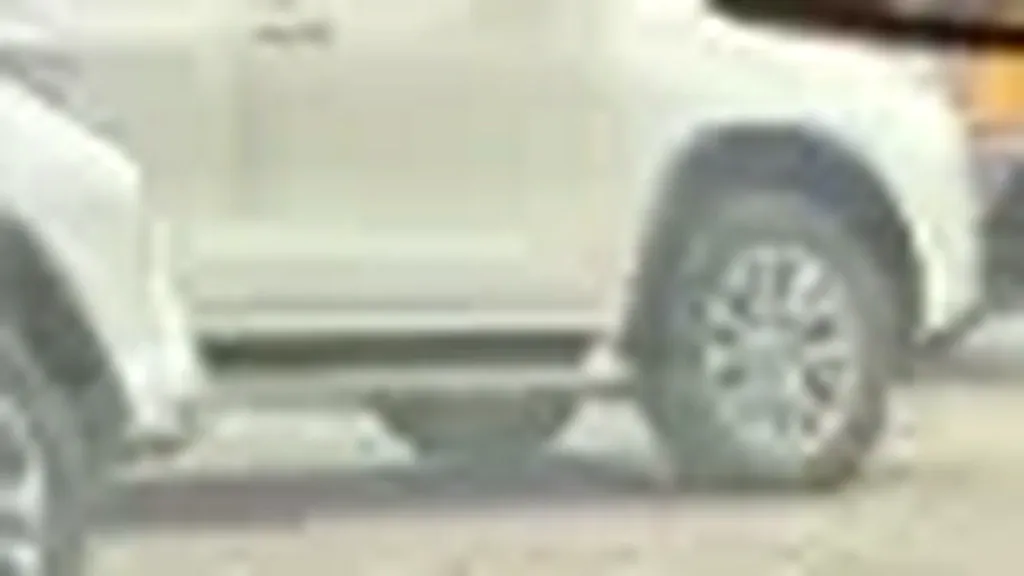 BYD Dolphin Mini - Imagem 13