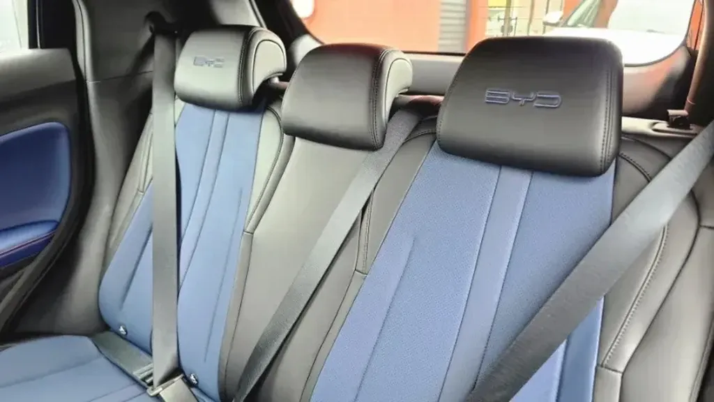 BYD Dolphin Mini - Imagem 17