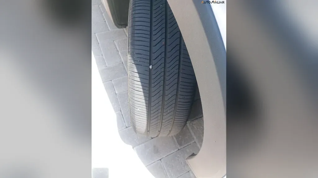 BYD Dolphin Mini - Imagem 7