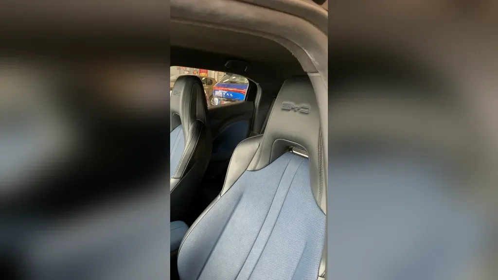 BYD Dolphin Mini - Imagem 12