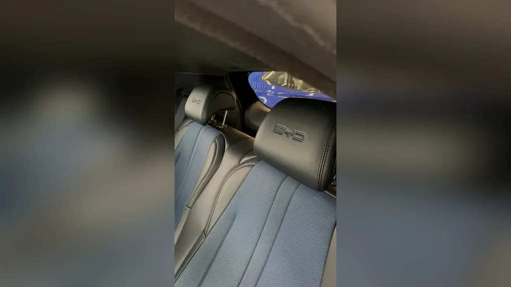 BYD Dolphin Mini - Imagem 13