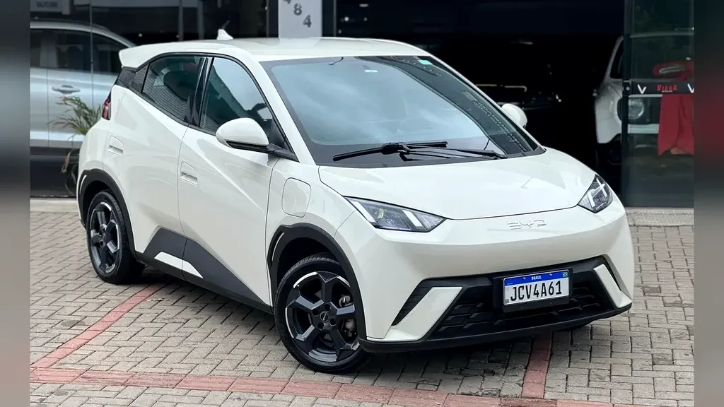 Foto de um byd dolphin mini