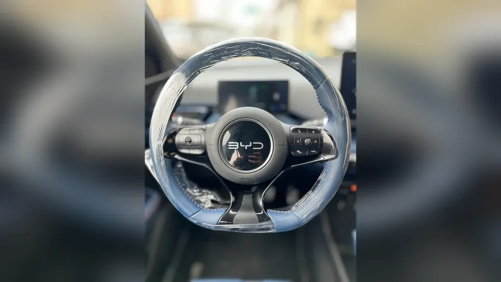 BYD Dolphin Mini - Imagem 10