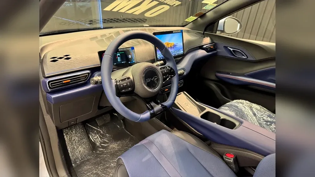 BYD Dolphin Mini - Imagem 13