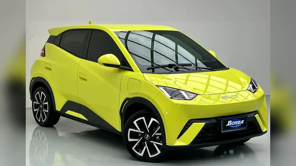 Foto de um byd dolphin mini