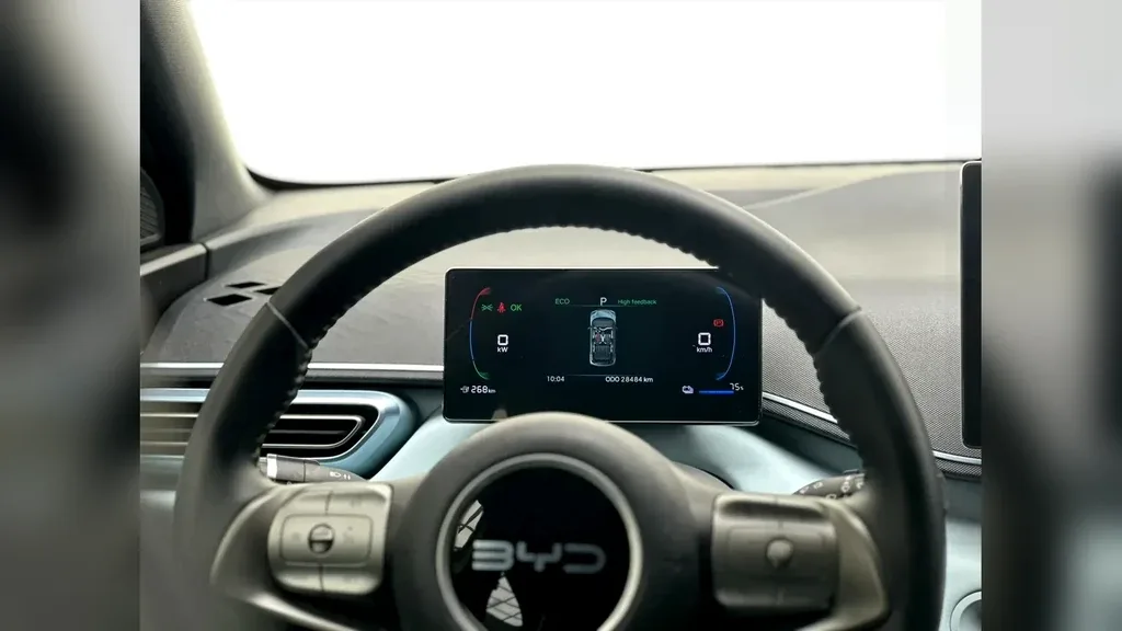 BYD Dolphin Mini - Imagem 11