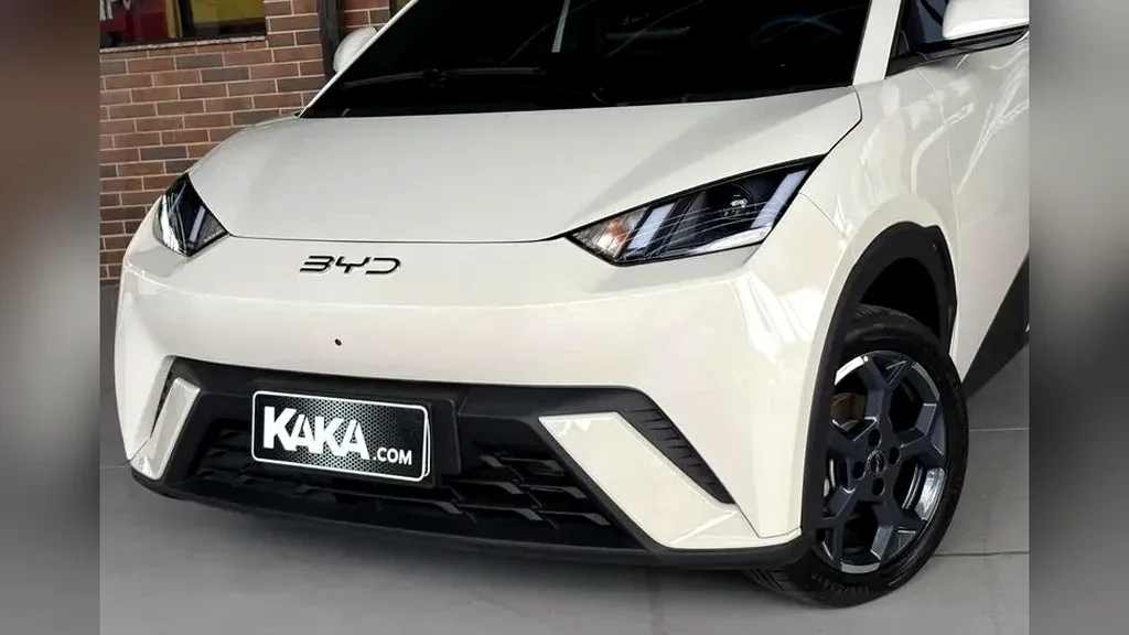 BYD Dolphin Mini - Imagem 2