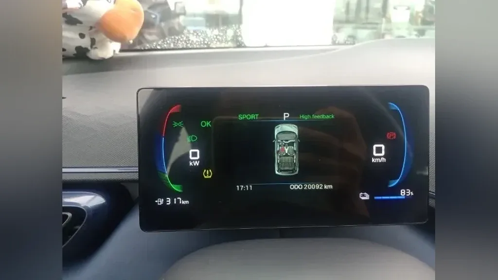 BYD Dolphin Mini - Imagem 11