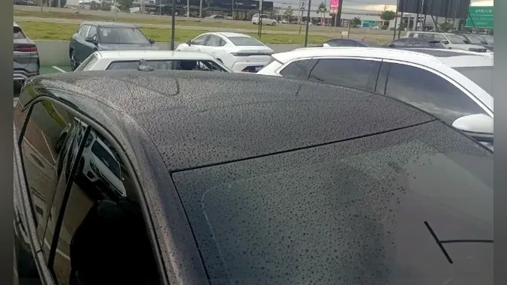 BYD Dolphin Mini - Imagem 15