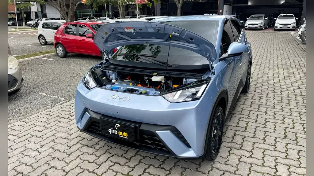 BYD Dolphin Mini - Imagem 17