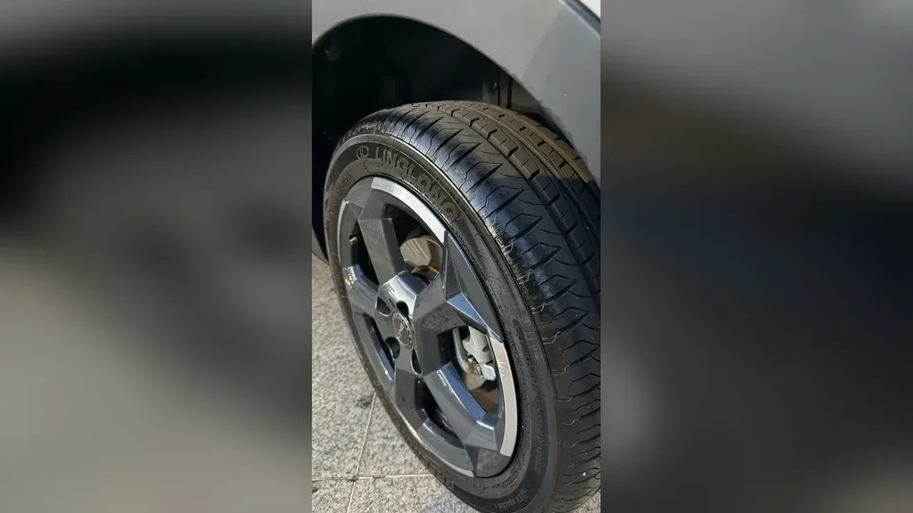 BYD Dolphin Mini - Imagem 8