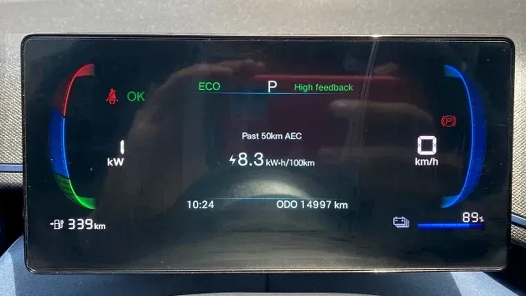 BYD Dolphin Mini - Imagem 13