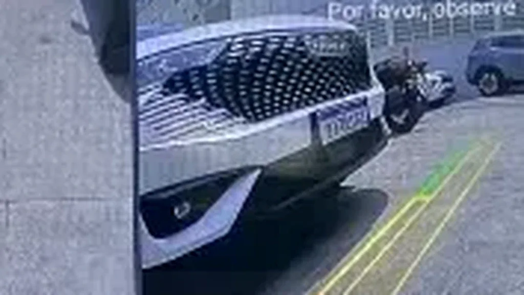 BYD Dolphin Mini - Imagem 15