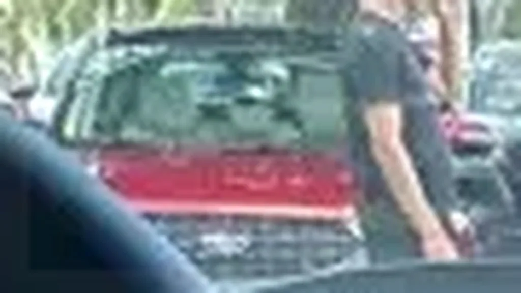 BYD Dolphin Mini - Imagem 12