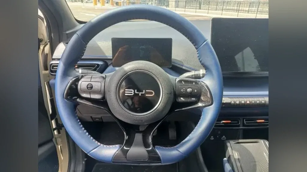 BYD Dolphin Mini - Imagem 10