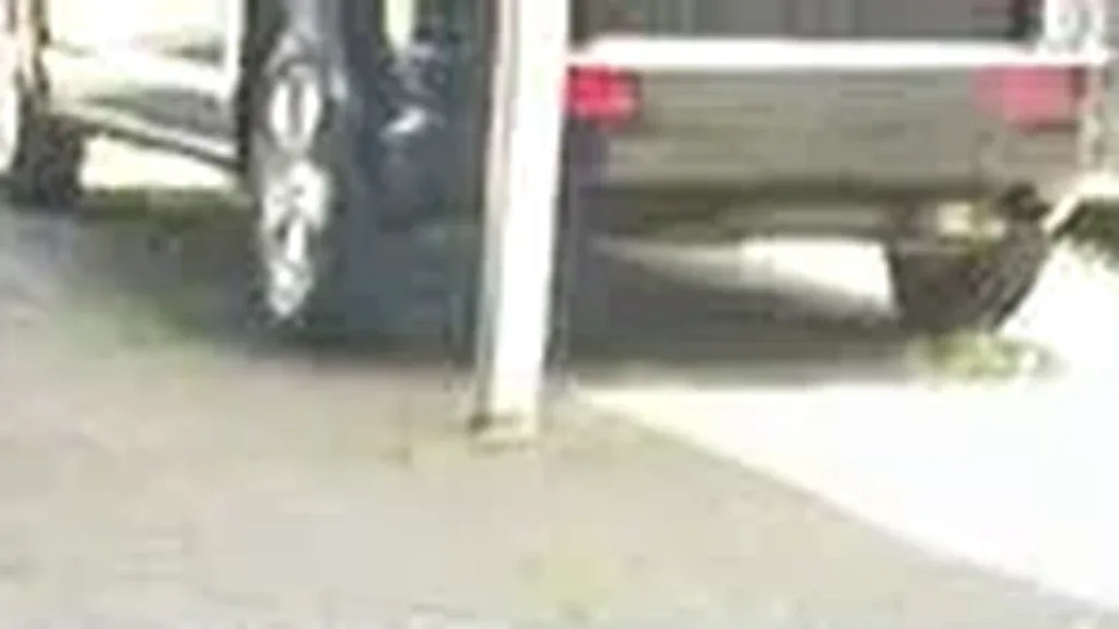 BYD Dolphin - Imagem 3