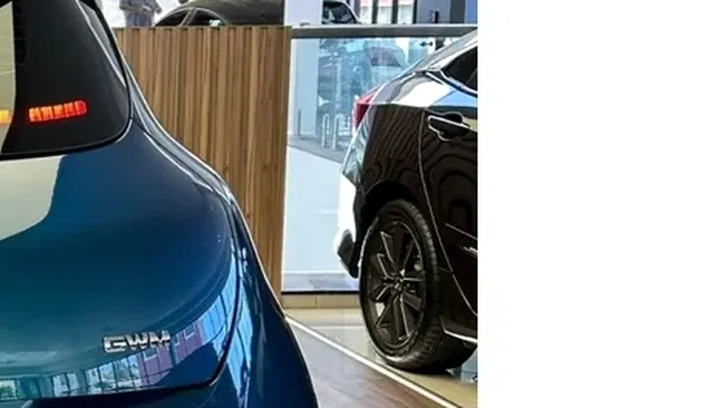 GWM Ora 03 - Imagem 5