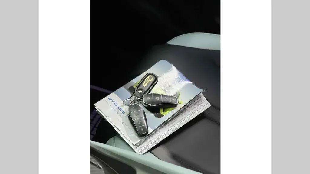 BYD Dolphin Mini - Imagem 10