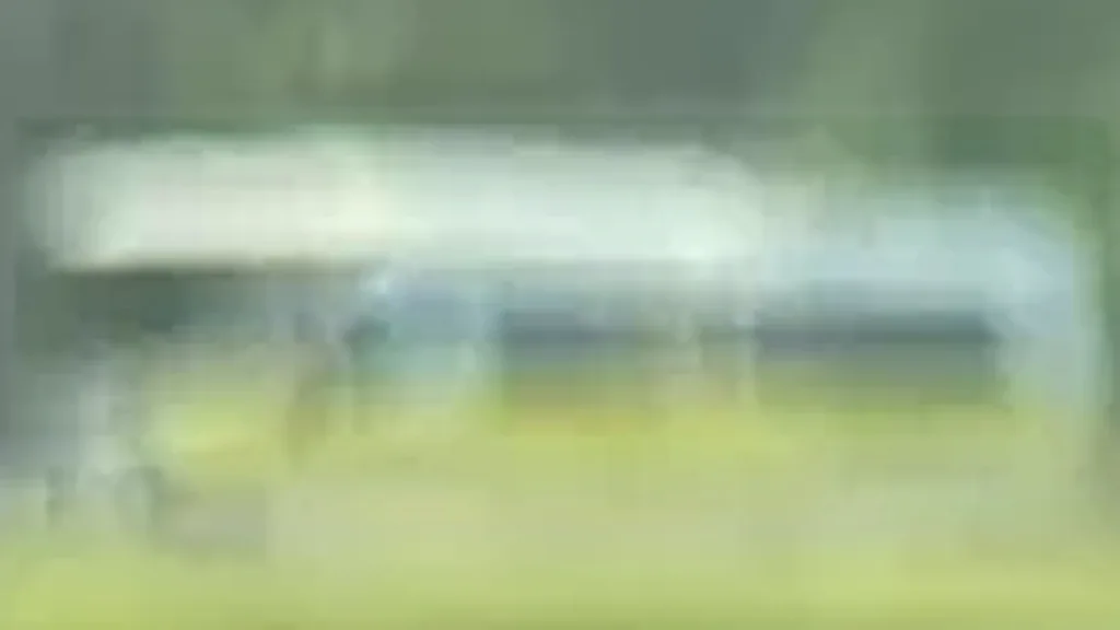 BYD Dolphin Mini - Imagem 15