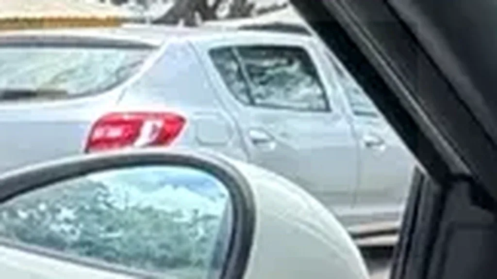 BYD Dolphin Mini - Imagem 17