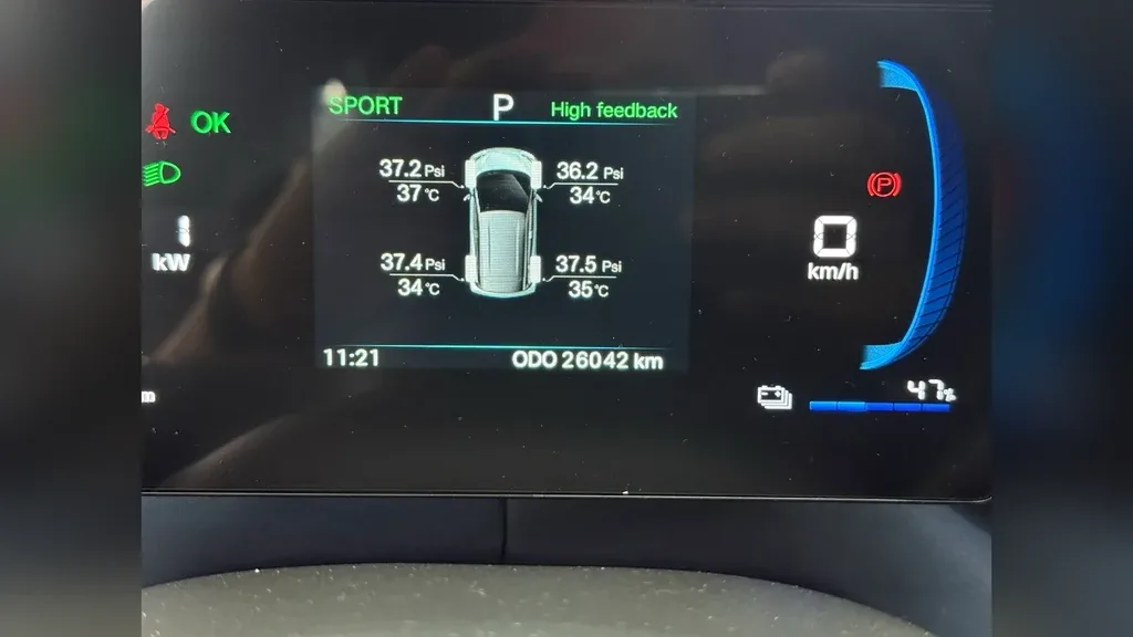 BYD Dolphin Mini - Imagem 11