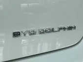 BYD Dolphin - Miniatura 12