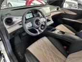 BYD Dolphin - Miniatura 16