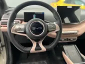 BYD Dolphin Mini - Miniatura 5