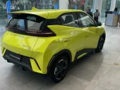 BYD Dolphin Mini - Miniatura 16