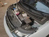 BYD Dolphin - Miniatura 7