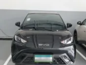 BYD Dolphin - Miniatura 1