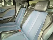 BYD Dolphin Mini - Miniatura 14