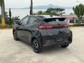 BYD Dolphin Mini - Miniatura 4