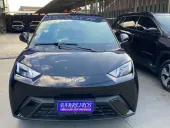 BYD Dolphin Mini - Miniatura 15