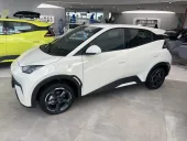 BYD Dolphin Mini - Miniatura 1