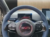 BYD Dolphin Mini - Miniatura 6