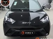 BYD Dolphin Mini - Miniatura 1