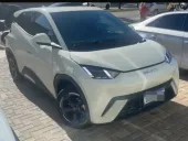 BYD Dolphin Mini - Miniatura 2