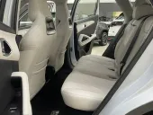 BYD Yuan Plus - Miniatura 9