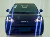 BYD Dolphin Mini - Miniatura 2